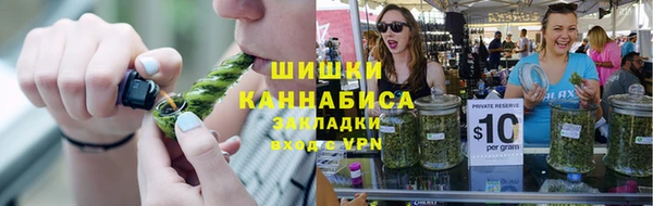 сатива Болохово