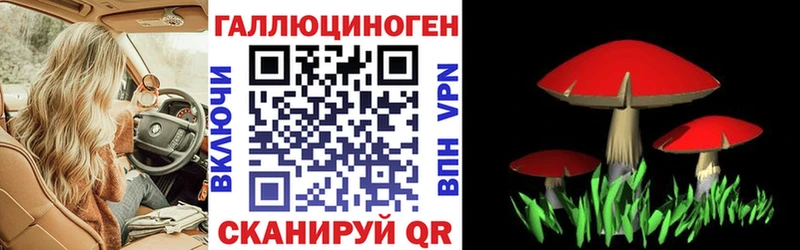 Галлюциногенные грибы Magic Shrooms  Елец 